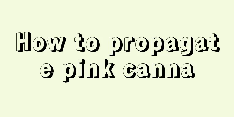 How to propagate pink canna