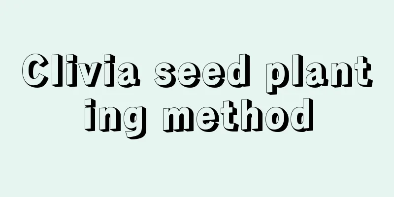 Clivia seed planting method