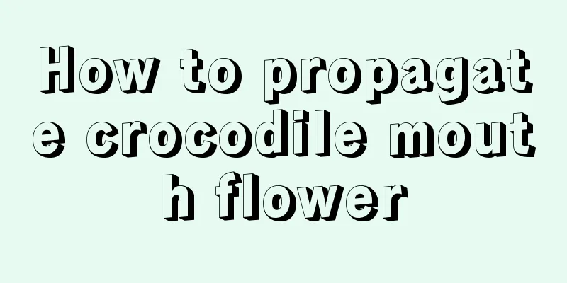 How to propagate crocodile mouth flower