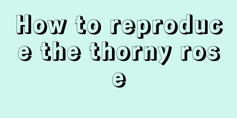 How to reproduce the thorny rose