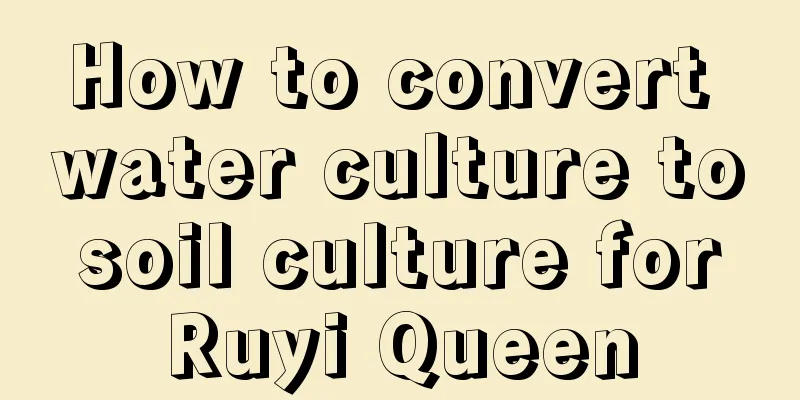 How to convert water culture to soil culture for Ruyi Queen