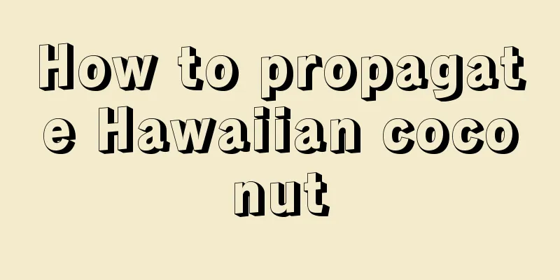 How to propagate Hawaiian coconut