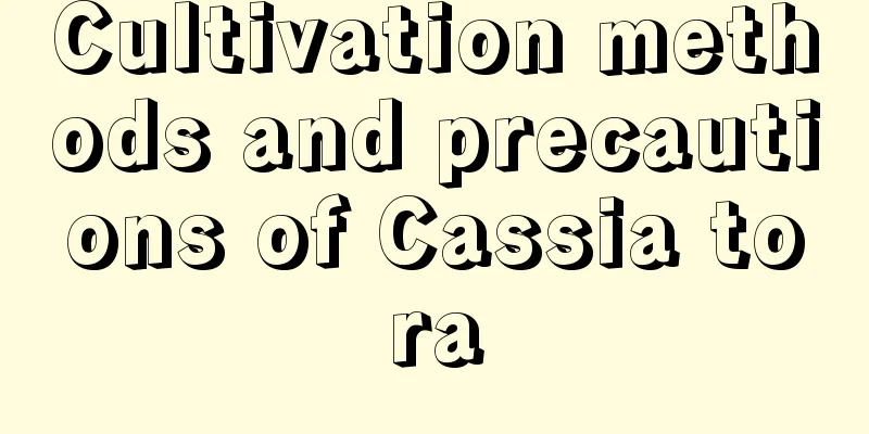 Cultivation methods and precautions of Cassia tora