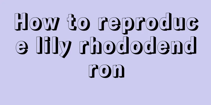 How to reproduce lily rhododendron