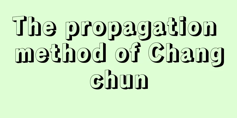 The propagation method of Changchun