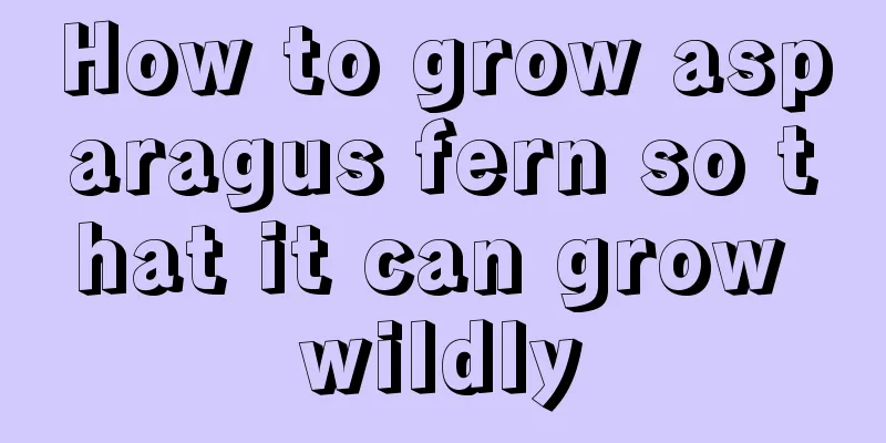 How to grow asparagus fern so that it can grow wildly