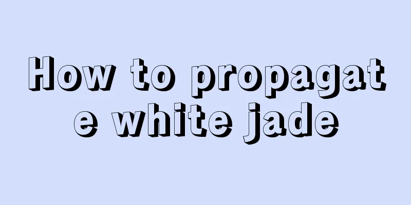 How to propagate white jade