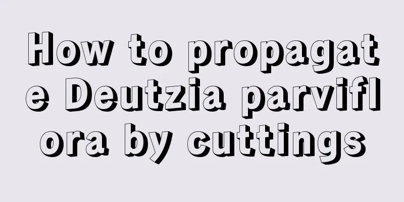 How to propagate Deutzia parviflora by cuttings