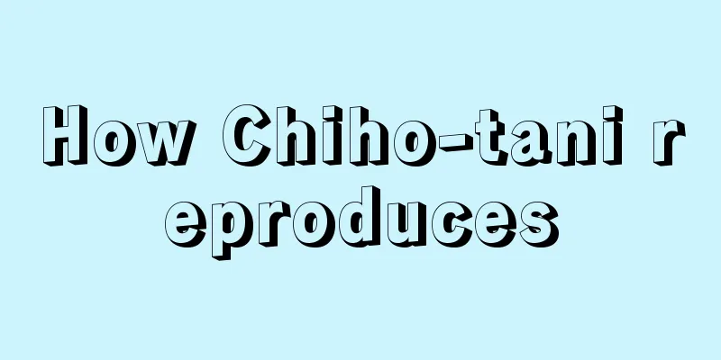 How Chiho-tani reproduces