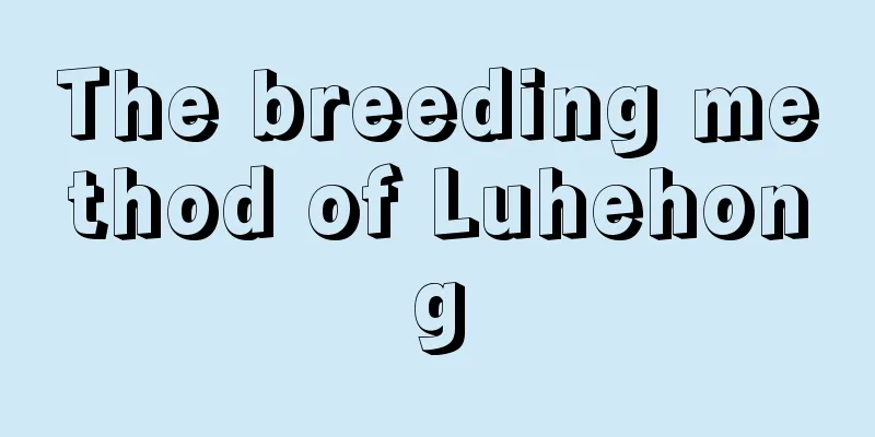 The breeding method of Luhehong