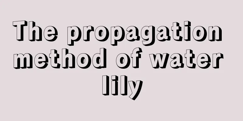 The propagation method of water lily