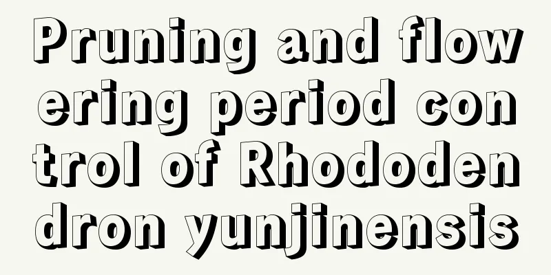 Pruning and flowering period control of Rhododendron yunjinensis