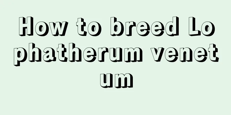 How to breed Lophatherum venetum