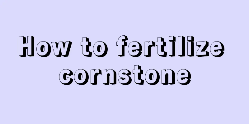 How to fertilize cornstone