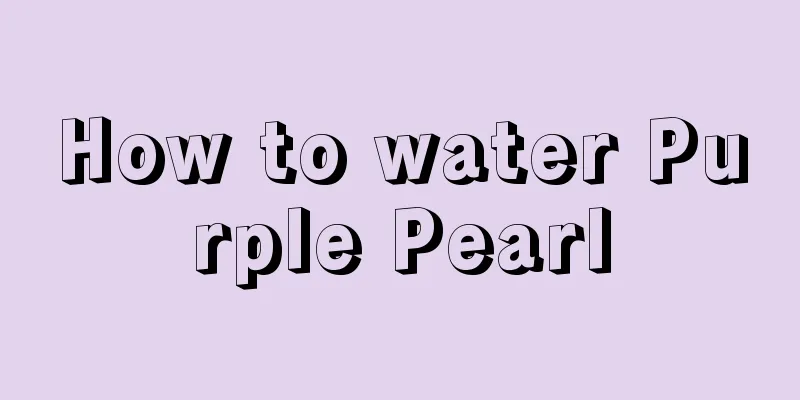 How to water Purple Pearl