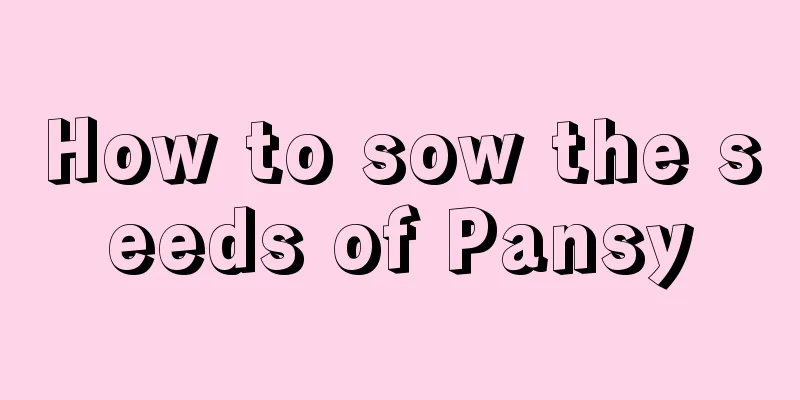 How to sow the seeds of Pansy