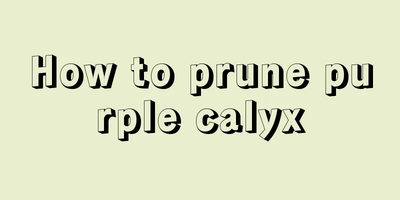 How to prune purple calyx