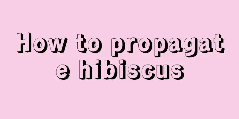 How to propagate hibiscus