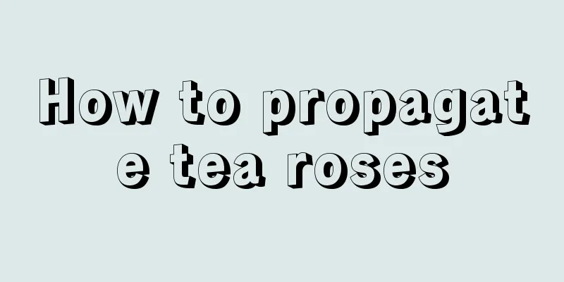 How to propagate tea roses