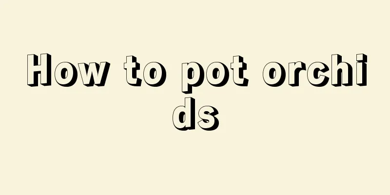 How to pot orchids