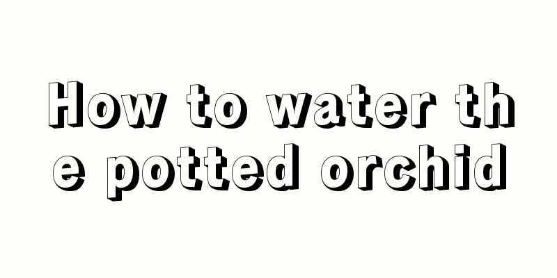 How to water the potted orchid