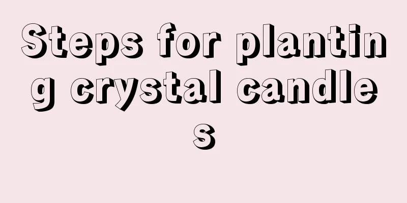 Steps for planting crystal candles