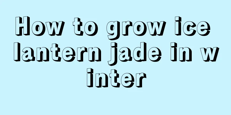 How to grow ice lantern jade in winter