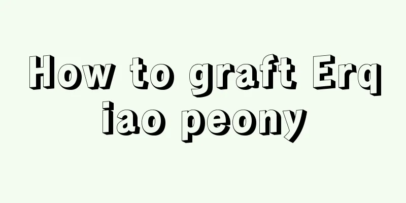 How to graft Erqiao peony