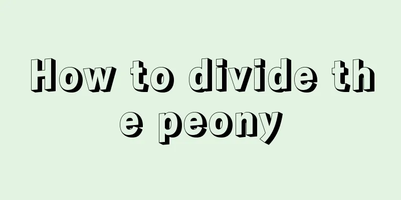 How to divide the peony