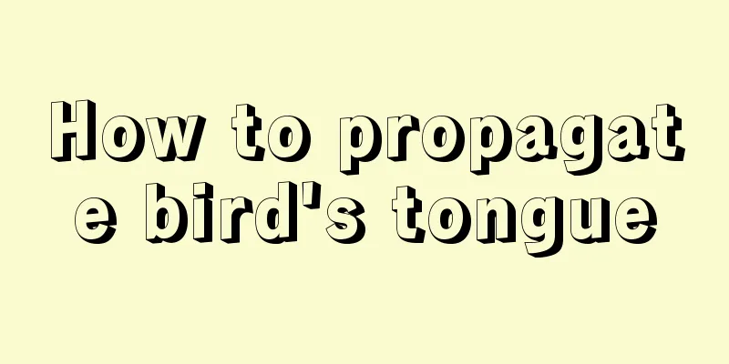 How to propagate bird's tongue