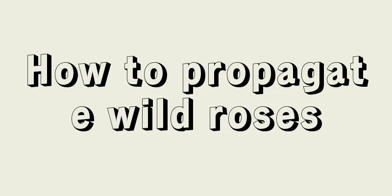 How to propagate wild roses