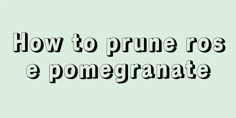 How to prune rose pomegranate