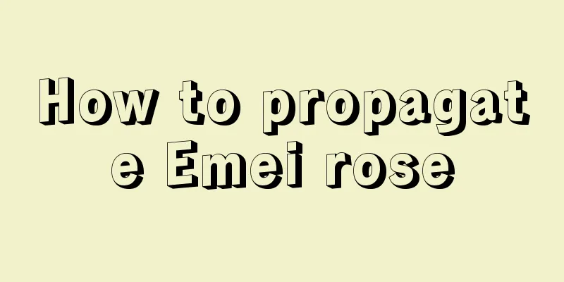 How to propagate Emei rose