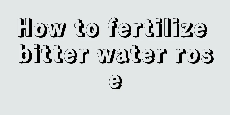 How to fertilize bitter water rose