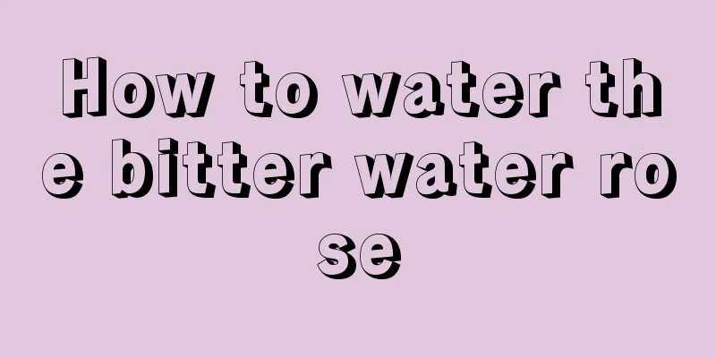 How to water the bitter water rose