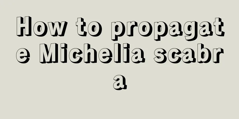 How to propagate Michelia scabra