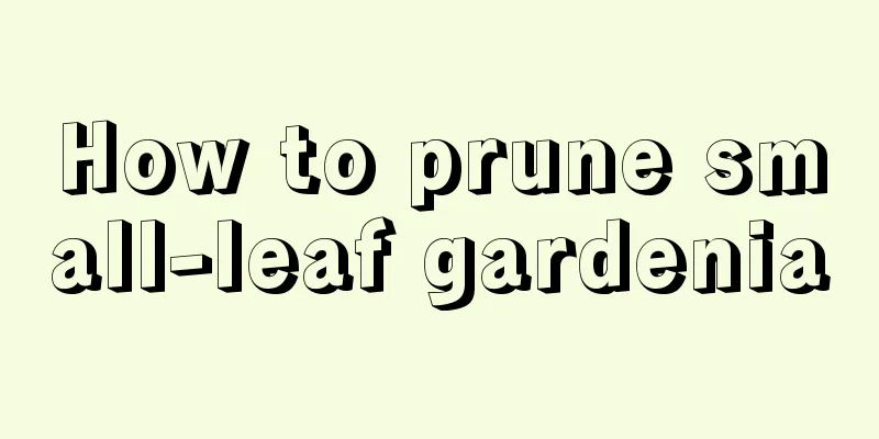 How to prune small-leaf gardenia