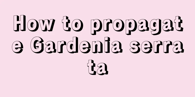 How to propagate Gardenia serrata