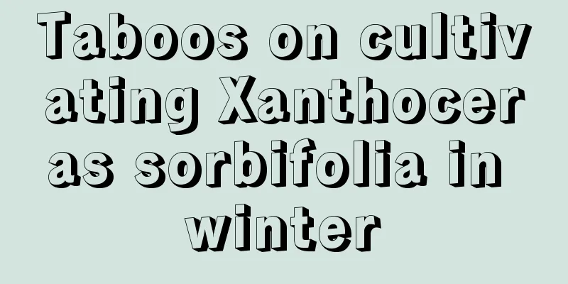 Taboos on cultivating Xanthoceras sorbifolia in winter