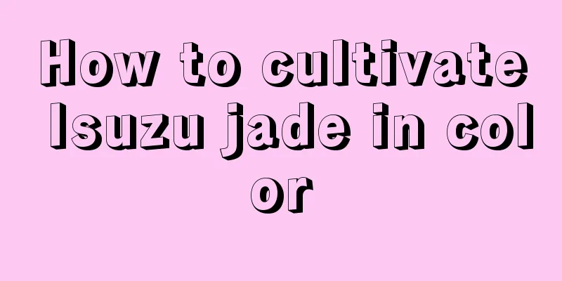 How to cultivate Isuzu jade in color