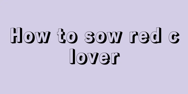 How to sow red clover