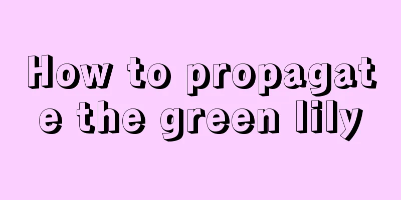 How to propagate the green lily