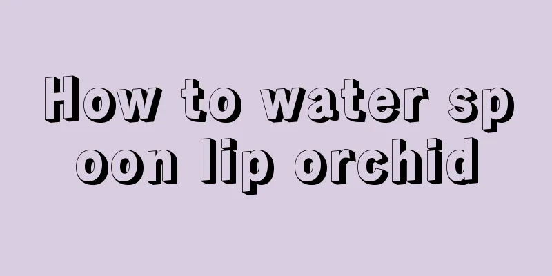 How to water spoon lip orchid