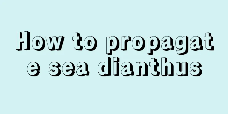 How to propagate sea dianthus