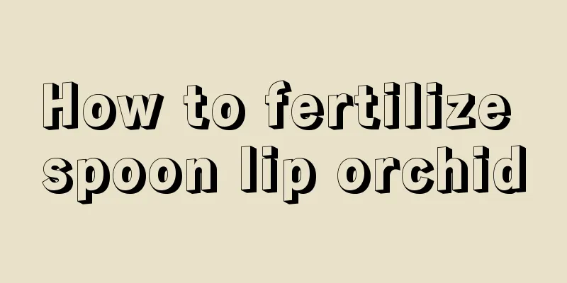 How to fertilize spoon lip orchid