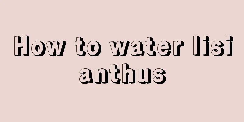 How to water lisianthus