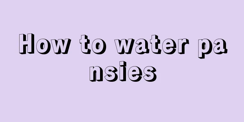 How to water pansies