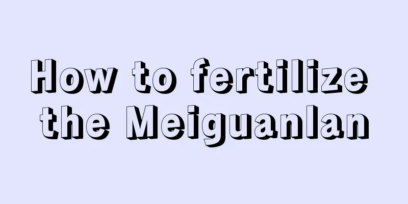 How to fertilize the Meiguanlan