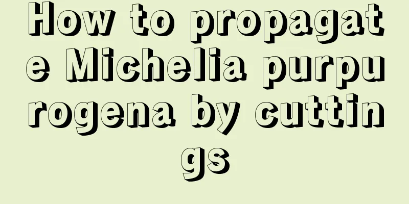 How to propagate Michelia purpurogena by cuttings