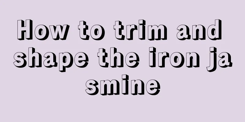 How to trim and shape the iron jasmine